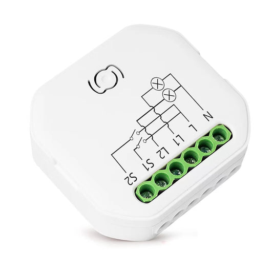 2-Gang 1-Way Smart Switch Module – Dual Channel Wi-Fi Lighting Control (Tuya-Compatible)